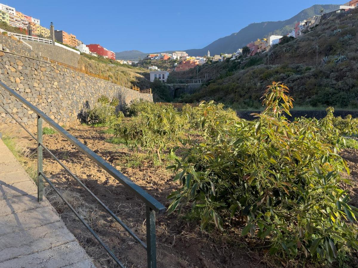 Finca Pico Los Realejos Luaran gambar